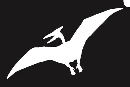 DN-09 Pterodactyl