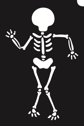 SSP-02 Skeleton