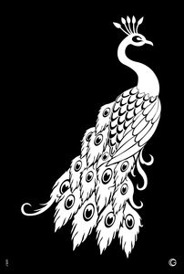 Proud Peacock HD Stencil