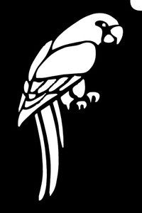 Parrot