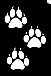 Claws