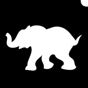 Baby Elephant