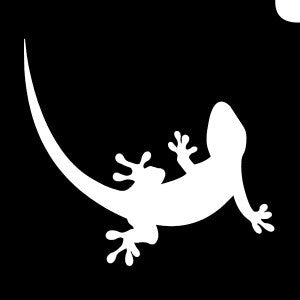 Tiny Gecko
