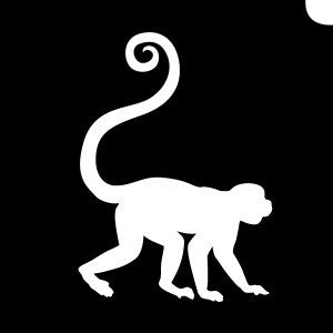 Small Monkey