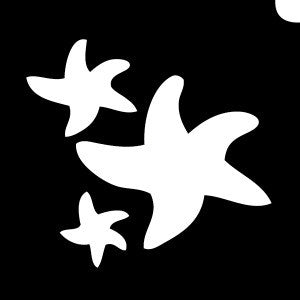 Tri Starfish