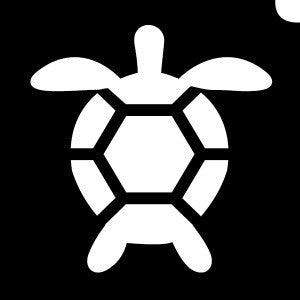 Turtle Bling